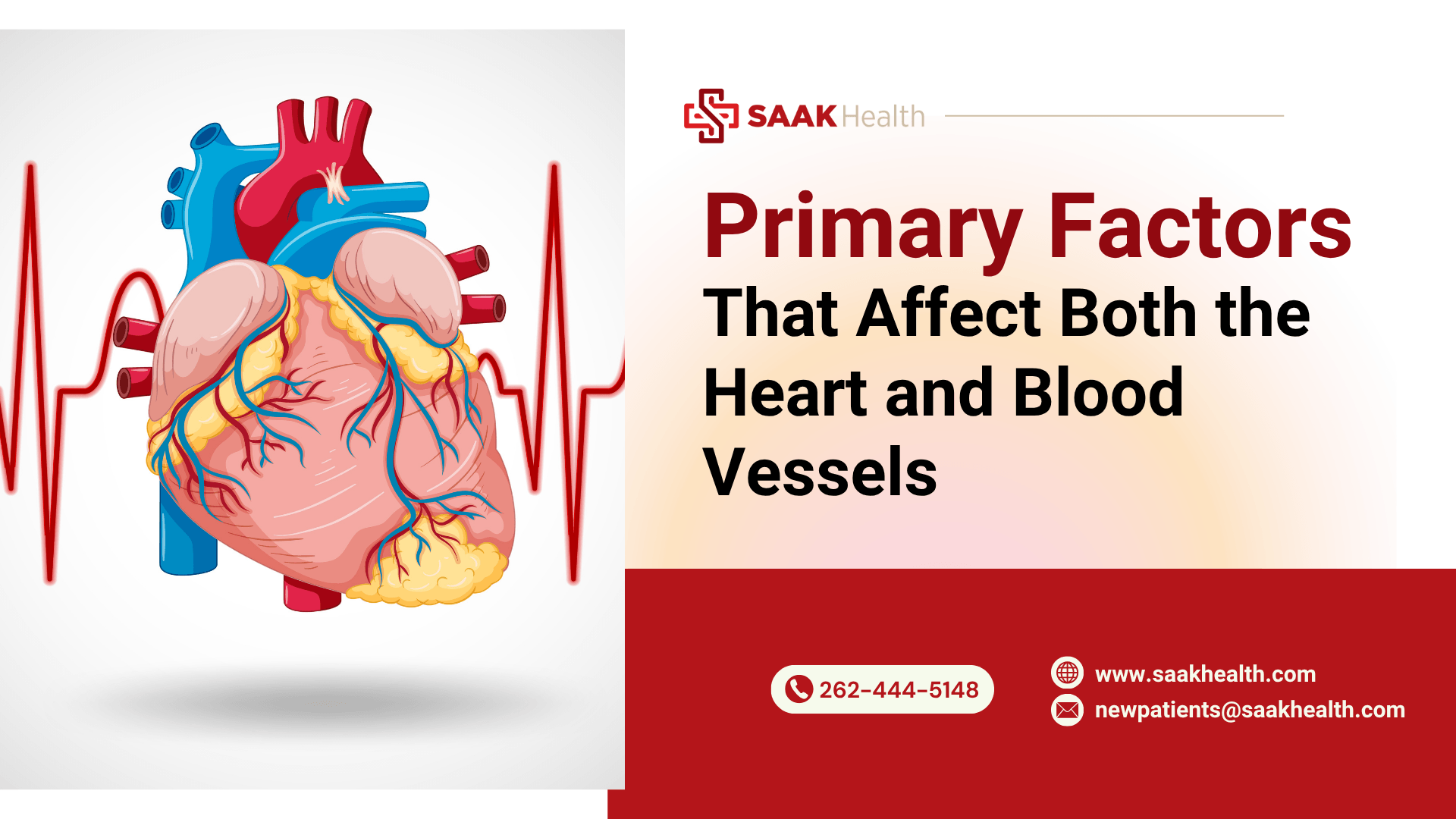 Illustration of the heart and blood vessels with an ECG line, highlighting factors affecting cardiovascular health.